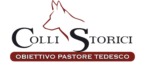 Colli Storici Mobile Retina Logo