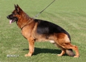Ober von Bad-Boll125x91