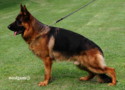 furbo125x90